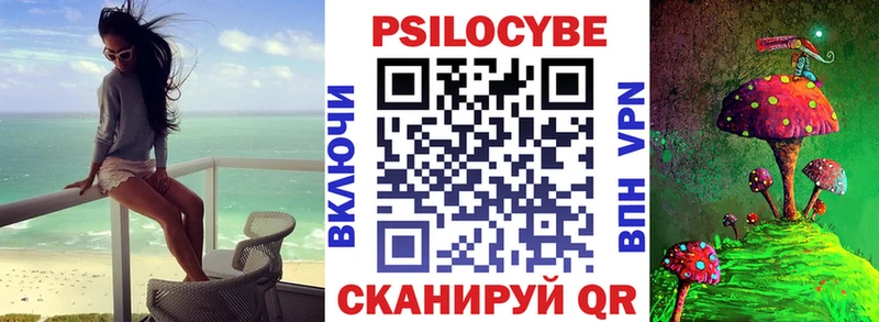 купить   дарк нет официальный сайт  Псилоцибиновые грибы Psilocybe  Карабулак  OMG зеркало 